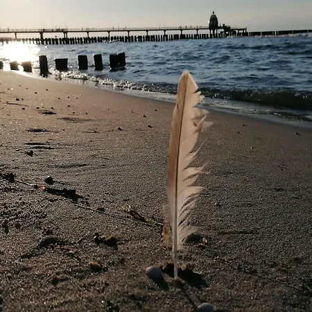 Seebaer An Der Seebruecke - Ruhig Gelegen Mit Terrasse